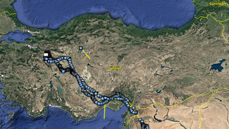 Uydudan takip edilen akbaba Midas 1 yılda 32 bin kilometre uçtu